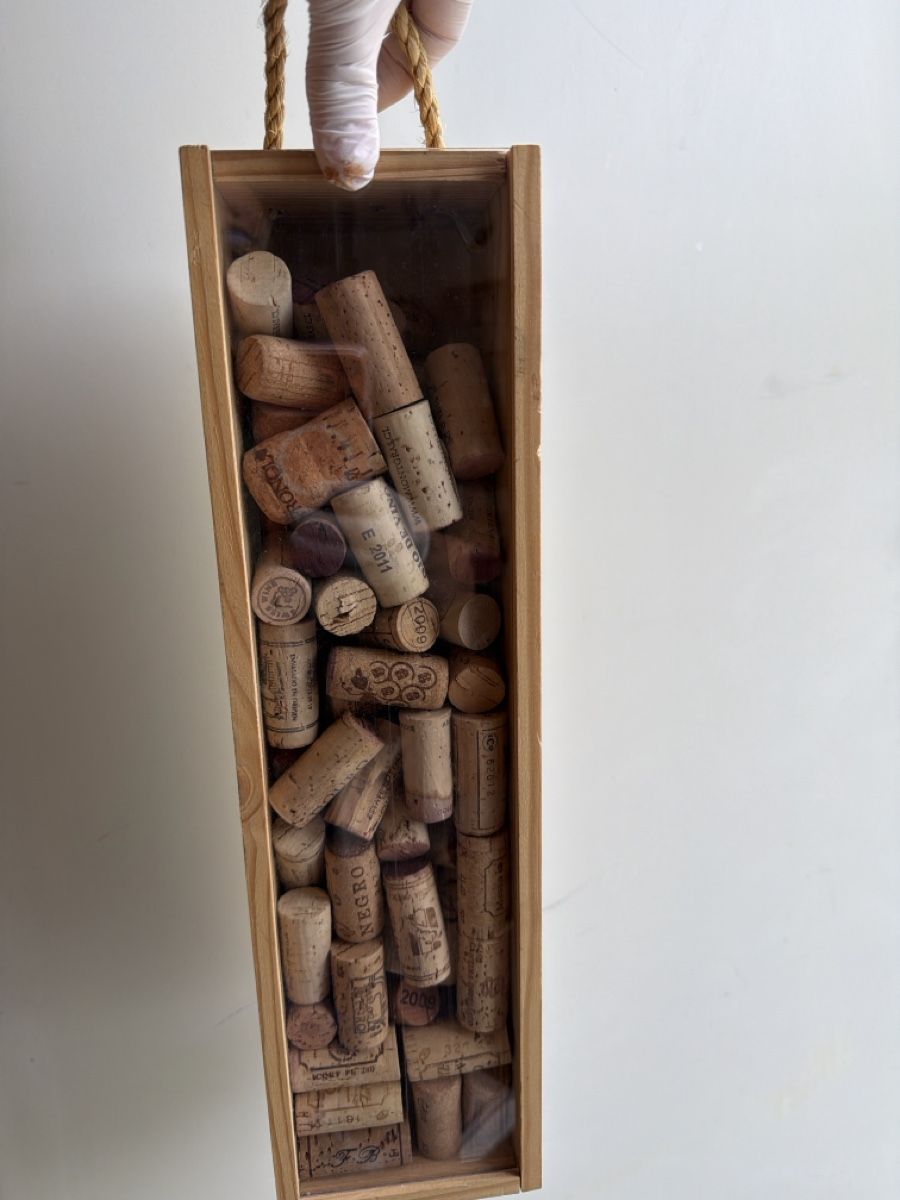 Altro per la casa: Schachtel .Sammelnbox. – Usato da Adligenswil venduto da goverla11 3