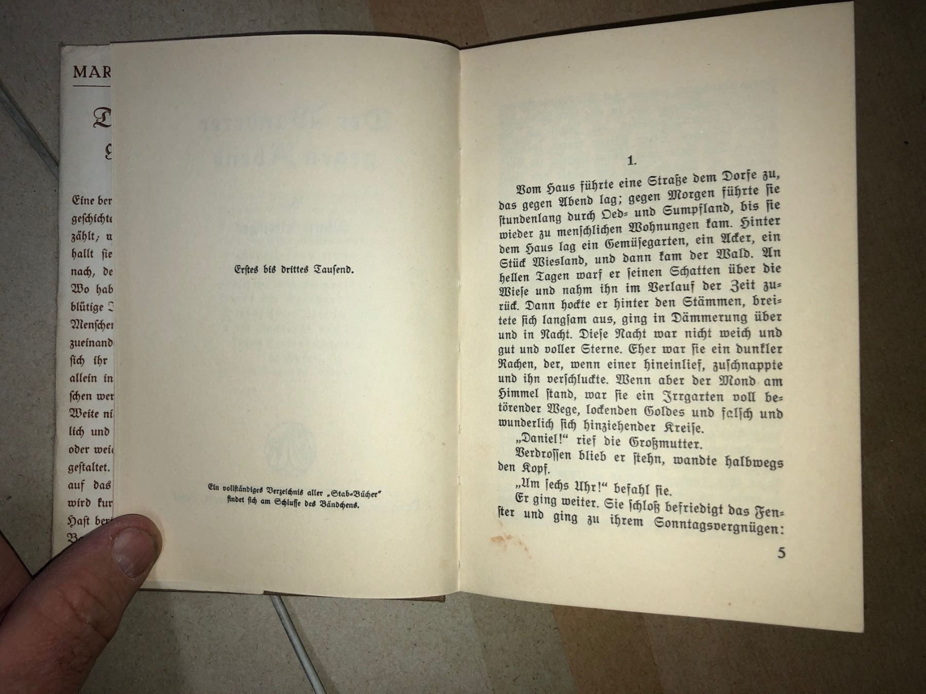Libri: Marie Bretscher: Wanderer gegen Abend – Usato da Zürich venduto da allp 4