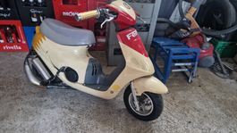 50cc Roller Pocket Bike