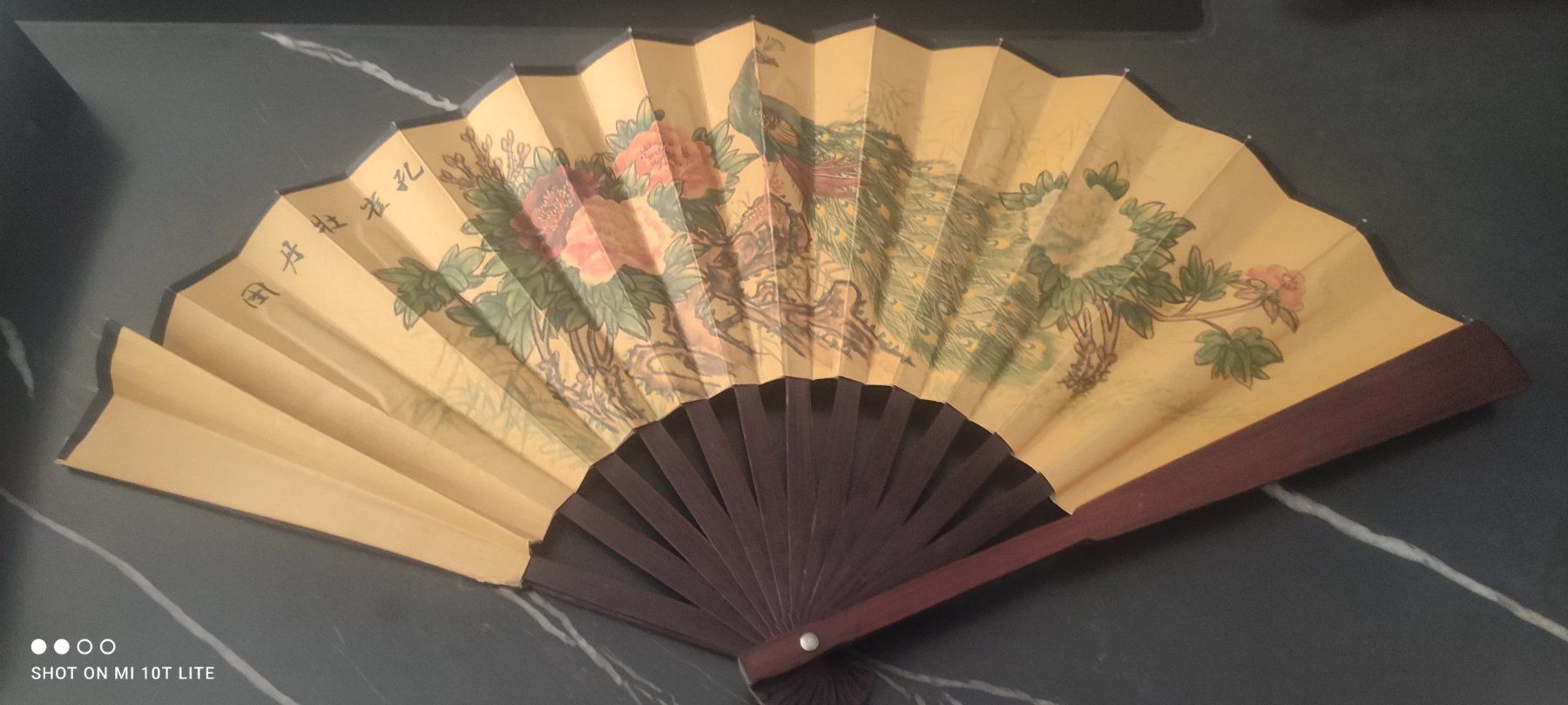 Altro in Decorazioni & Accessori: Chinesischer Fächer, auch als Deko, Vintage – Usato da Effretikon venduto da fay_25nm 1