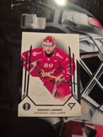 Dominic Lammer Rapperswil Jona Lakers Playoffs 2025 Sportzoo