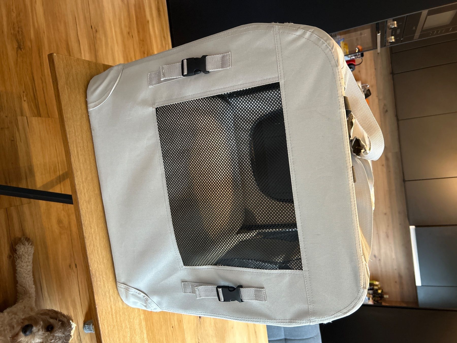 Behälter & Ähnliches: Transportbox Hund – Gebraucht aus Pfungen von Citrus 2