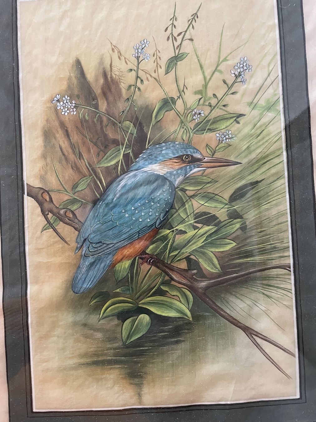 Dipinti: Antikes Eisvogel Aquarell, gerahmt – Usato da Cham venduto da Chramschopf 1
