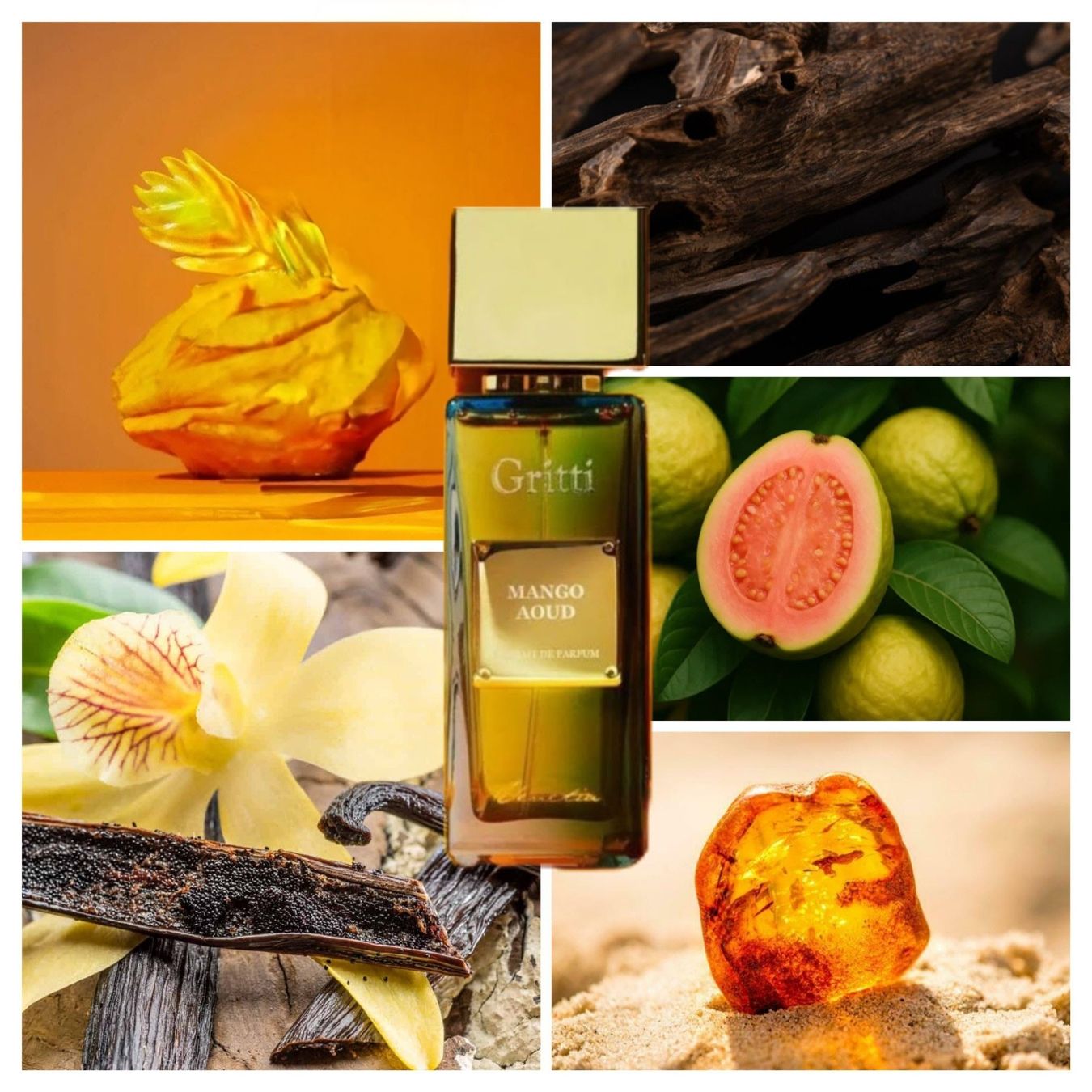 Profumi & Eau de Toilette: Mango Aoud - Gritti - 5ml decant – Nuovo e nell'imballaggio originale da Le Lignon venduto da bkaparfum 1