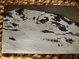 ski wintersport  oberland