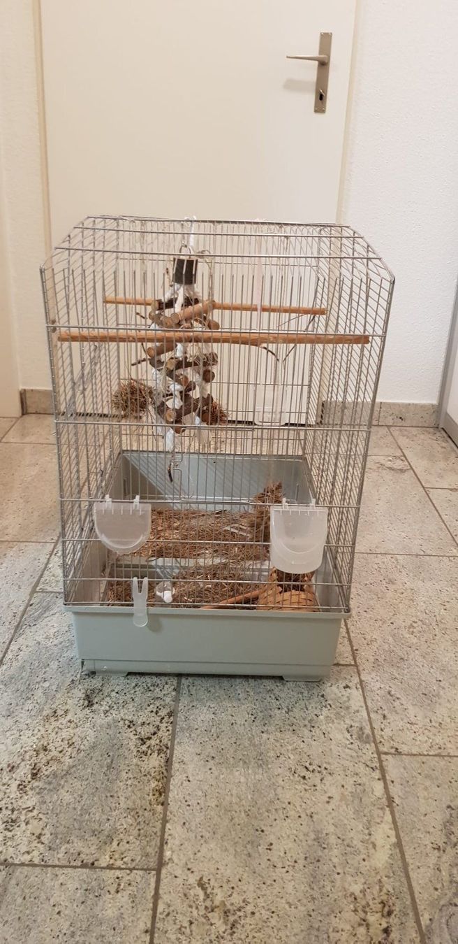 Casette per uccelli: Grosser Vogelkäfig – Usato da Brütten venduto da Diana098 1