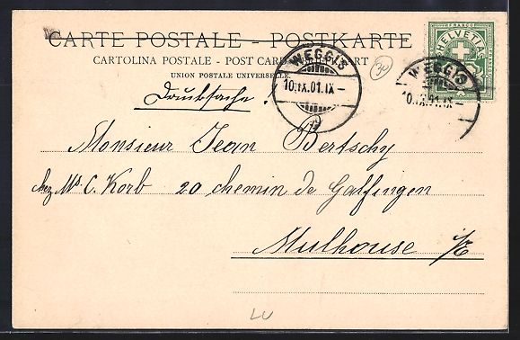 Cartoline postali: Weggis, Gesamtansicht mit Vierwaldstätt – Usato da Berlin venduto da bartko-reher 1