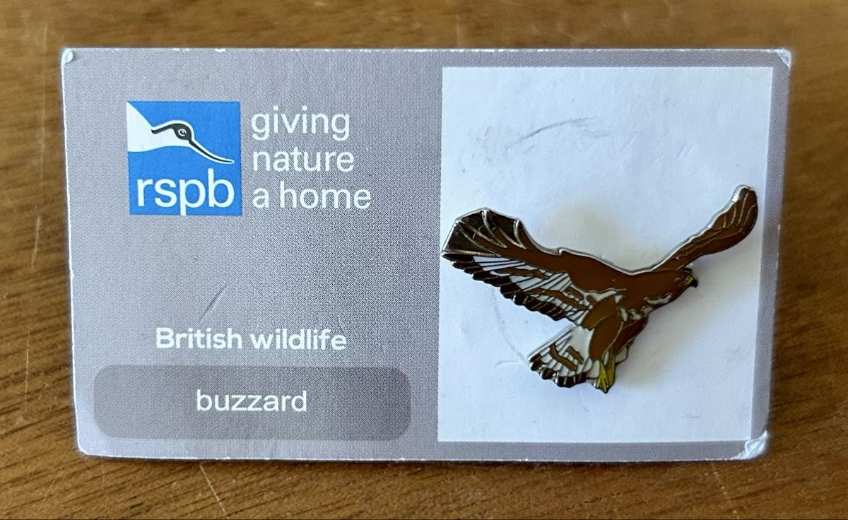 Placchette & Badge: RSPB Pin Mäusebussard – Nuovo (secondo la descrizione) da Zürich venduto da ann_9fv5