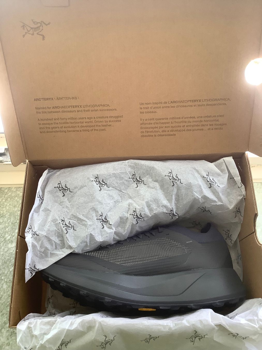 Arcteryx Herrenschuhe: Arcteryx - Schuhe   /   Grösse 43 – Neu und originalverpackt aus Zürich von Goworki 1