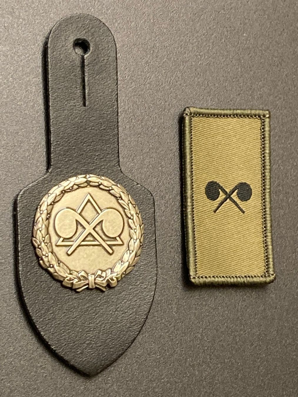 Schweizer Armee Placchette & Badge: Abzeichen Set: ABC-Truppen / ABC Soldat - Schweizer Armee – Usato da Brütten venduto da Hst1