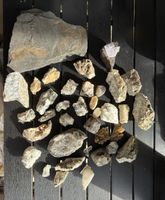 Steine Sammlung: Quarz, Fossilien, Kristalle und mehr