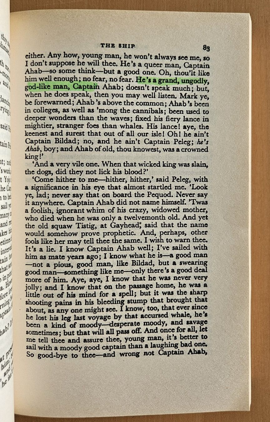 Libri: Herman Melville: Moby Dick – Usato da Schaffhausen venduto da brickenthusiast 4