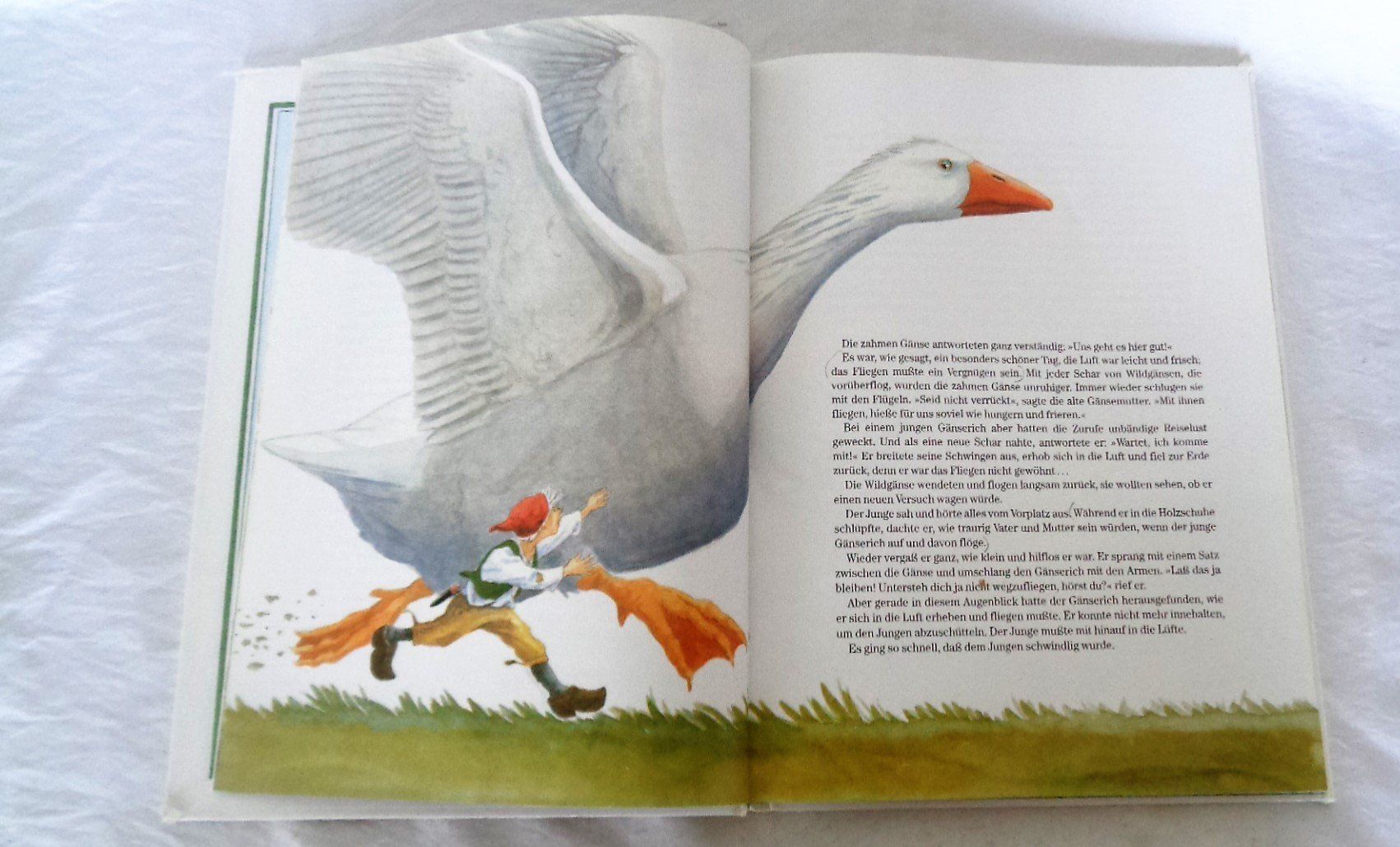 Libri: Nils Holgersson - Wunderbare Reise / Bilderbuch ab Fr. 8.- – Usato da Bellach venduto da JingleJerry 3