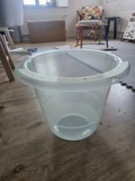 Tummy Tub Baby-Badeeimer / Kinderbad