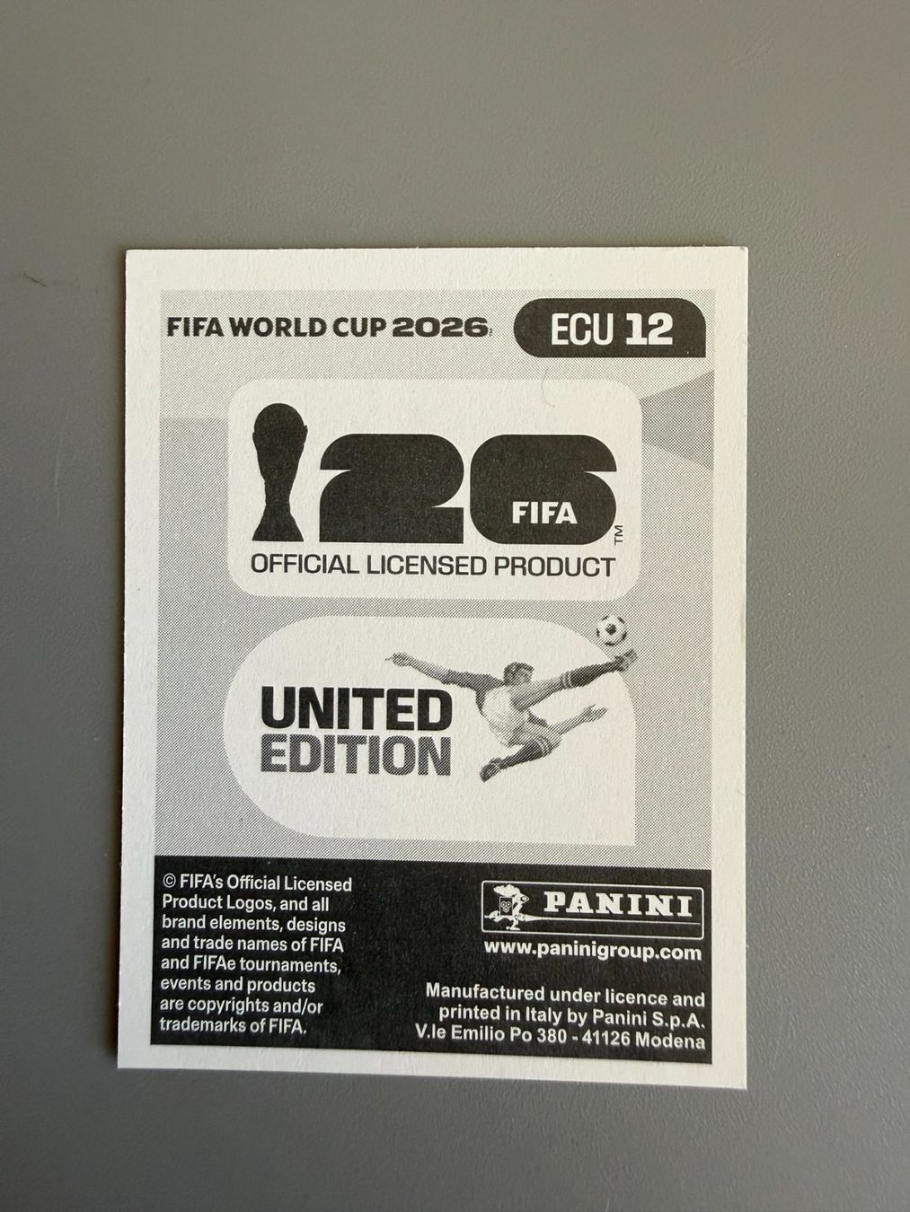 Panini Carte collezionabili: Panini Pedro Vite ECU12 – Usato da Liebefeld venduto da Ronaldo-1996 1