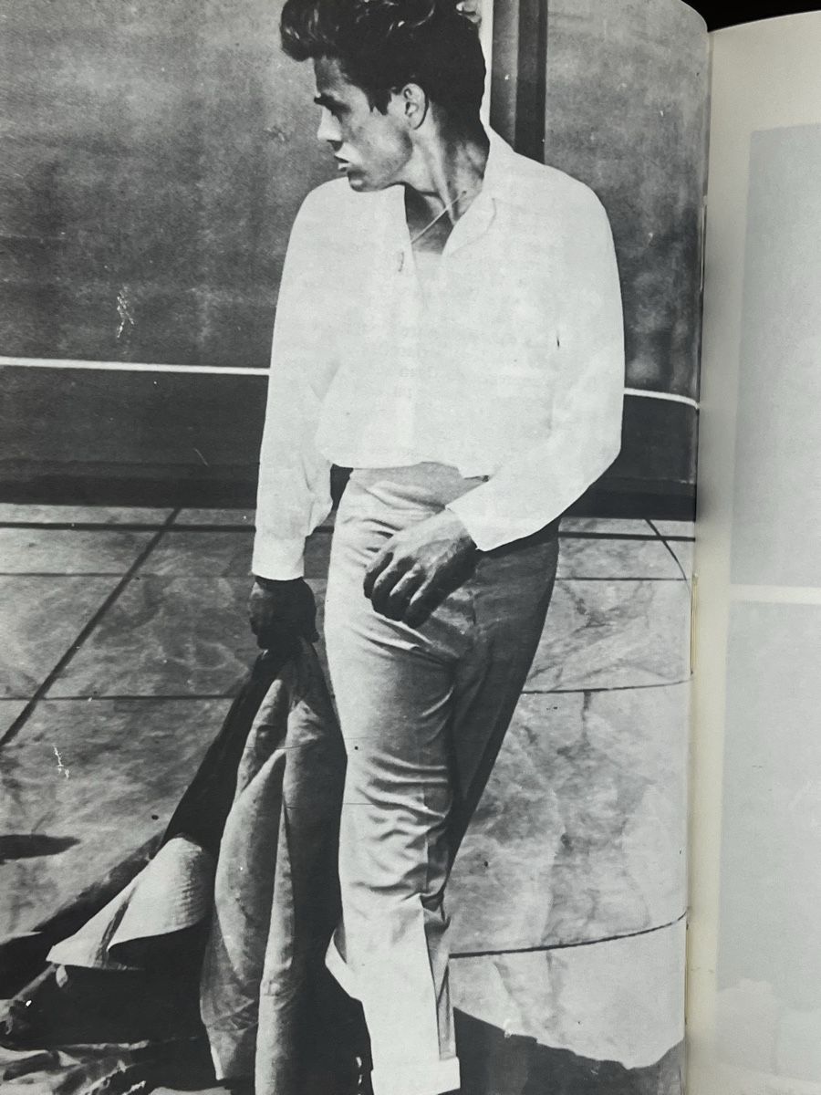 Libri: James Dean Biography – Usato da Wettingen venduto da NickInc 5