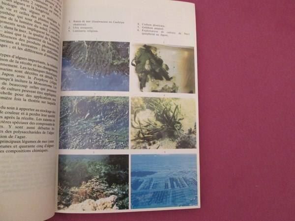 Libri: Les légumes de mer – Usato da Neuchâtel venduto da Dualseele 7
