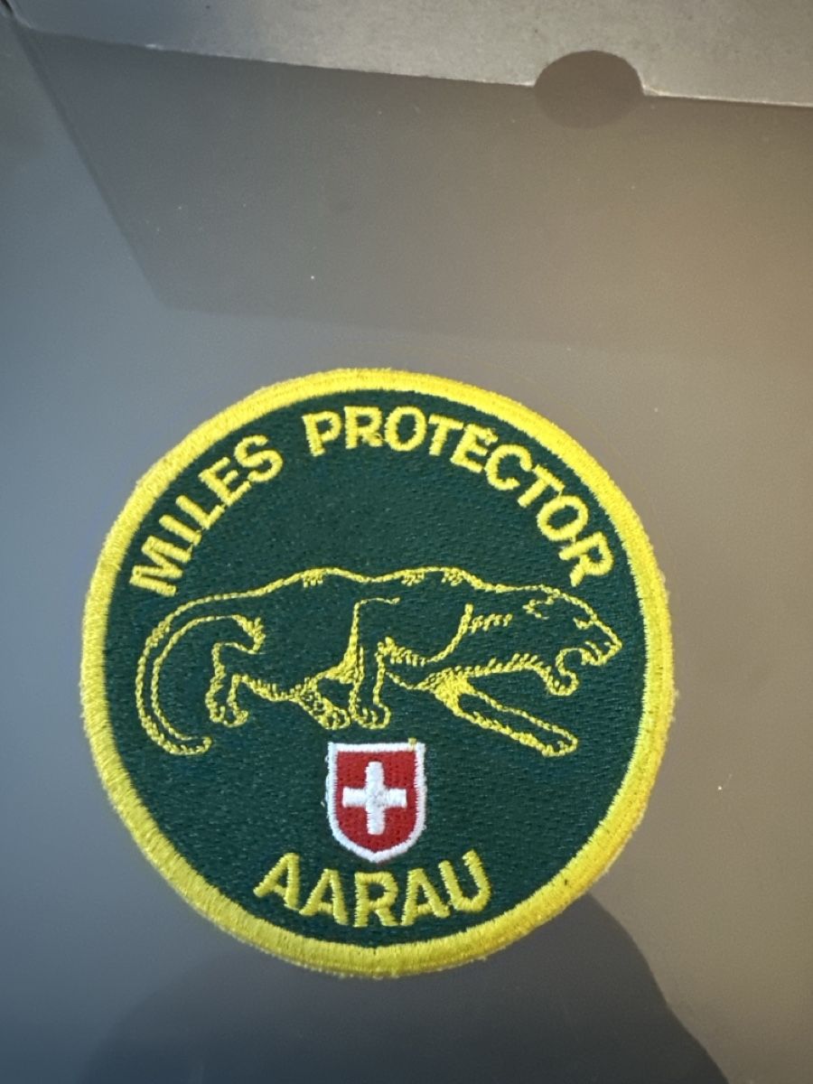 Schweizer Armee Placchette & Badge: 3 - Infanterie 14 – Usato da Morbio Inferiore venduto da Ecod 1