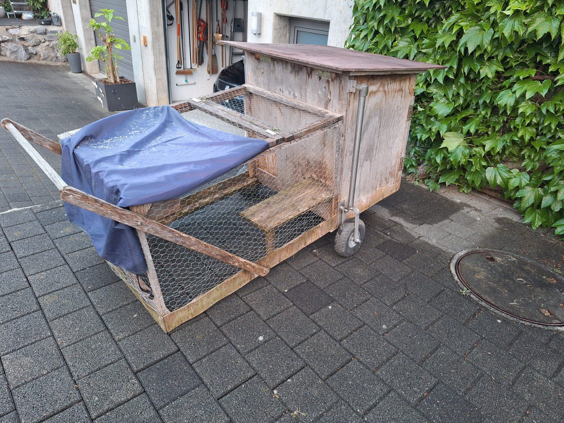 Cages, transport & sécurité: Hasenstall fahrbar – Neuf (Voir description) à Uznach par Carlsson80 7