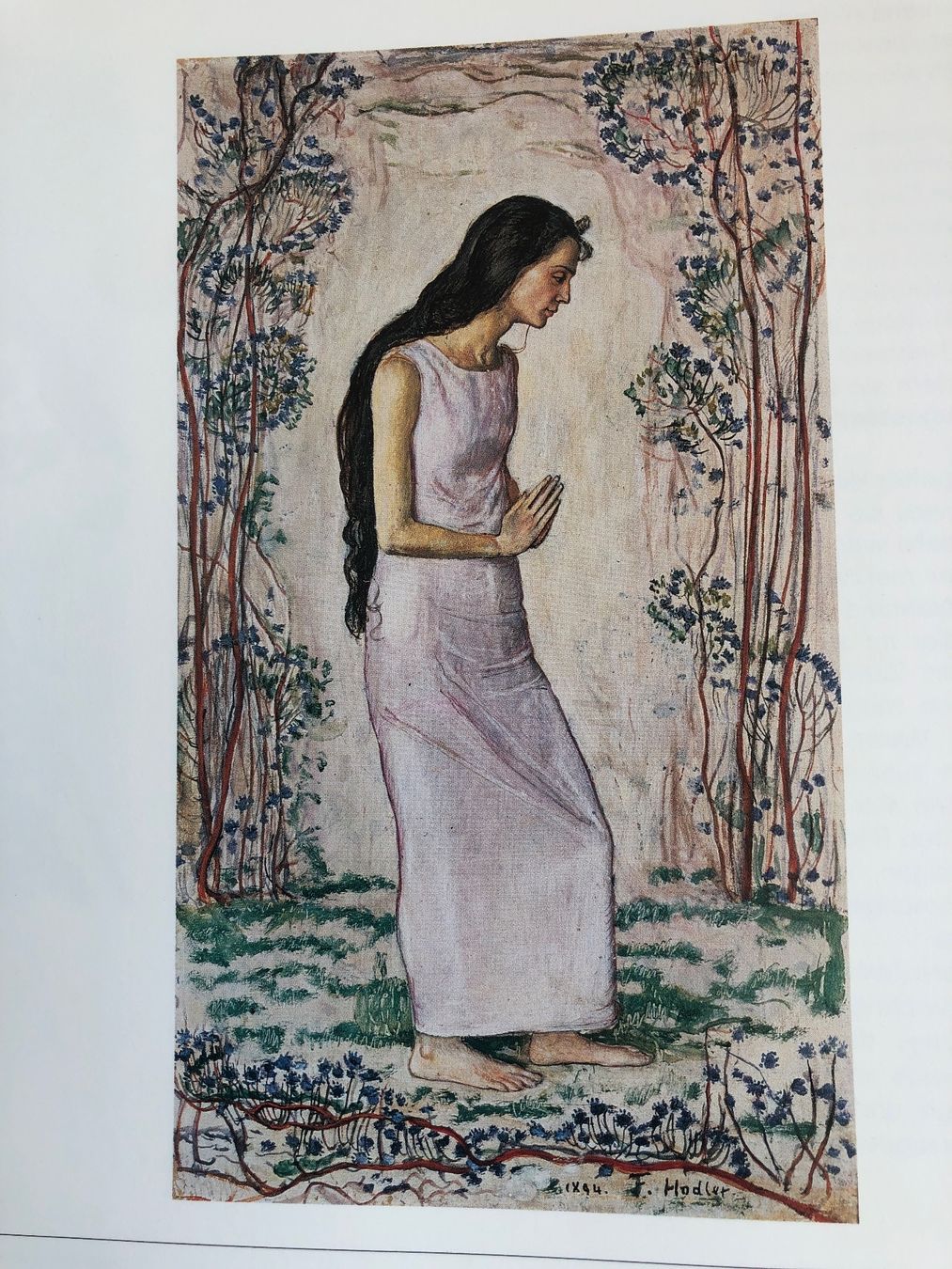 Libri: Ferdinand Hodler Eugène Burnand und die schweizerischen B... – Nuovo (secondo la descrizione) da Zürich venduto da Husopaska 8