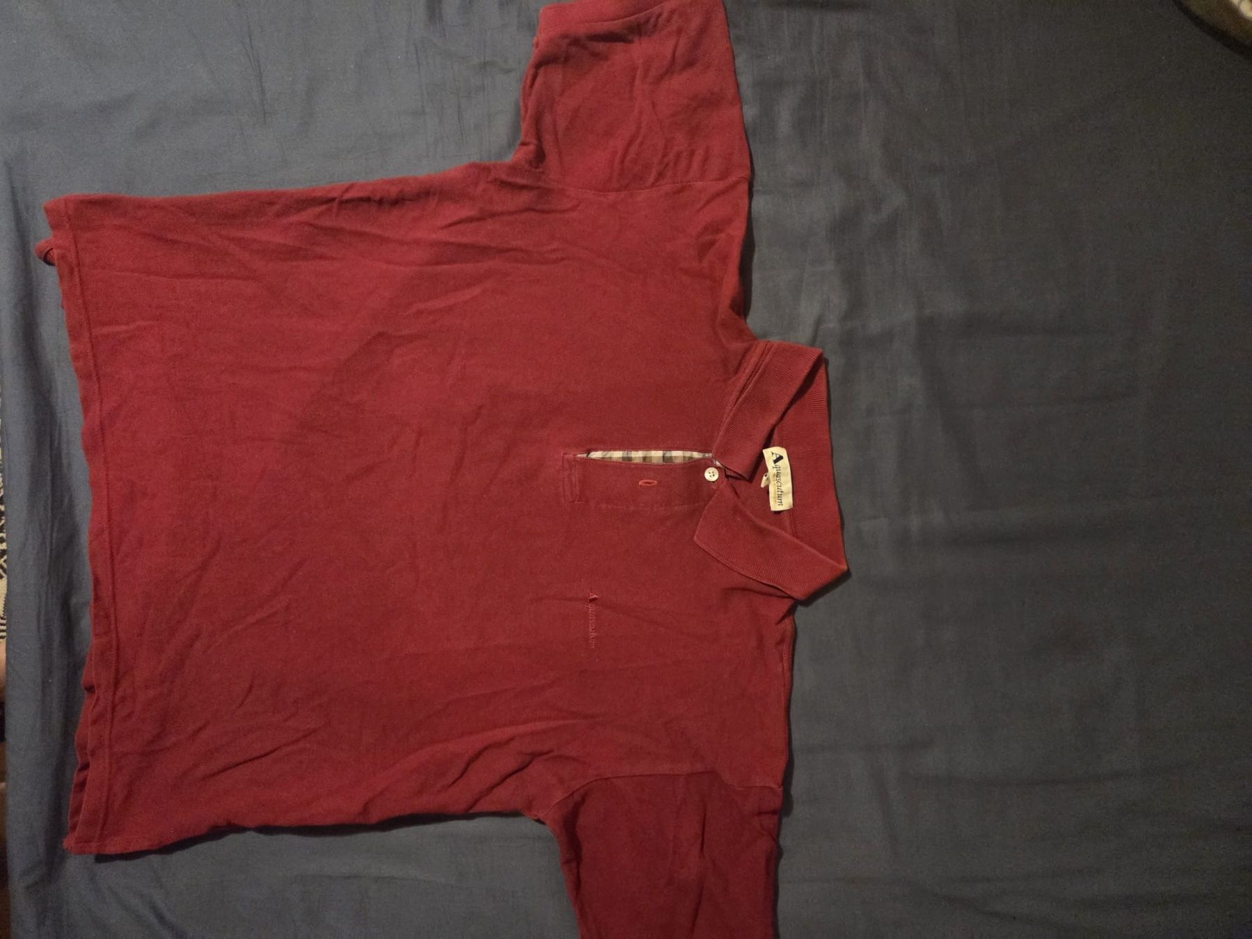 Magliette Polo: Aquascutum Poloshirt – Usato da Staldenried venduto da ssi_dt5g