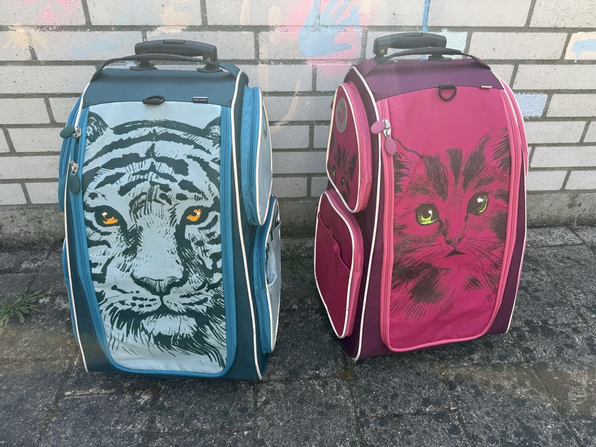Jako-O Valigie: Jako Schrankkoffer Pink – Usato da Winterthur venduto da tanscha
