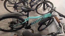 Ghost Mountainbike Terra 3 Grün 