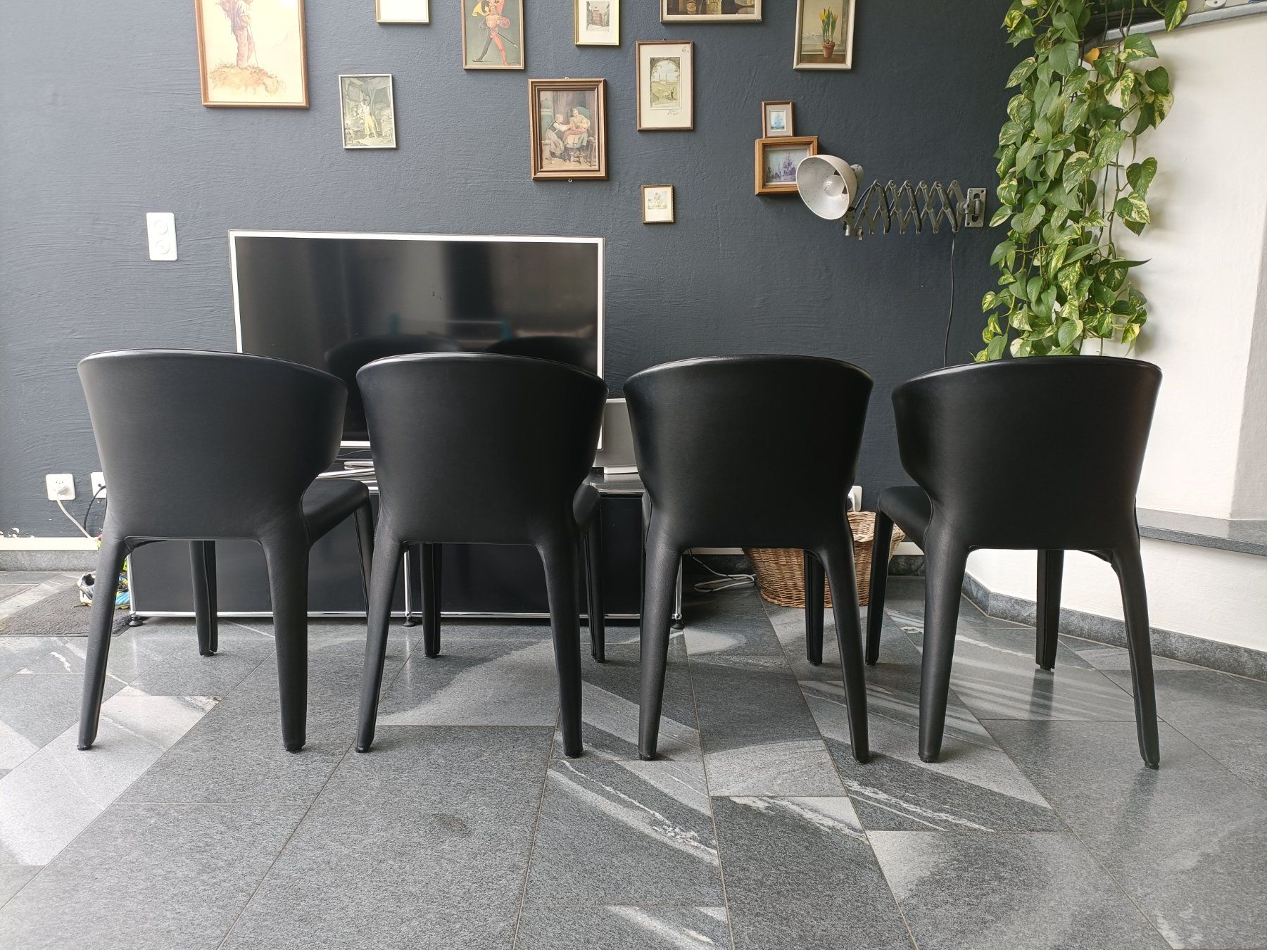 Cassina Sedie: Stühle Cassina Hola 367 / 4 Stück – Usato da Schmitten FR venduto da oldtimer82 3