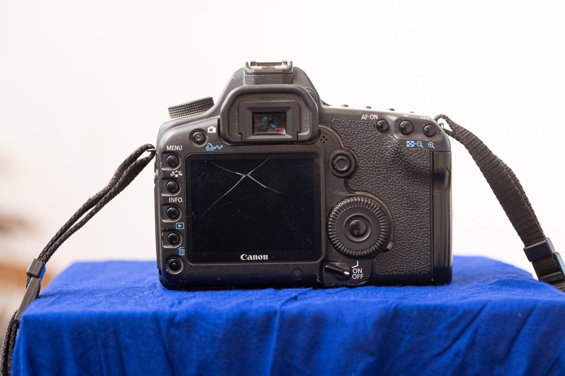 Canon Kamera: DSLR Canon EOS 5D Mark II – Gebraucht aus Beromünster von foto-x 2