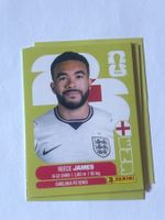Panini WM 2026 Sticker - James ENG 7