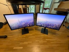 Zwei Monitore LG UltraFine 23.7 4K UHD, Thunderbolt 3