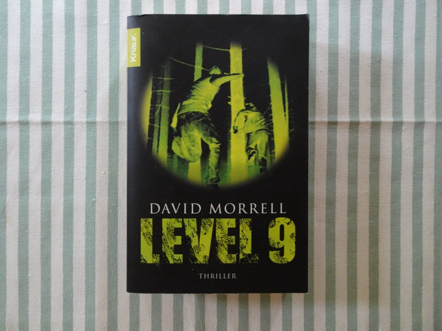 Libri: David Morrell - Level 9 - Thriller - B591 – Usato da Küssnacht am Rigi venduto da Bookslove-Divers