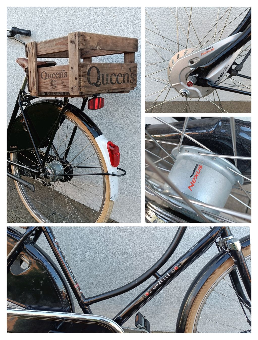 trekking mtb e bike Trekking E-bike