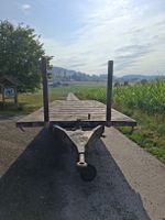 Ballenwagen