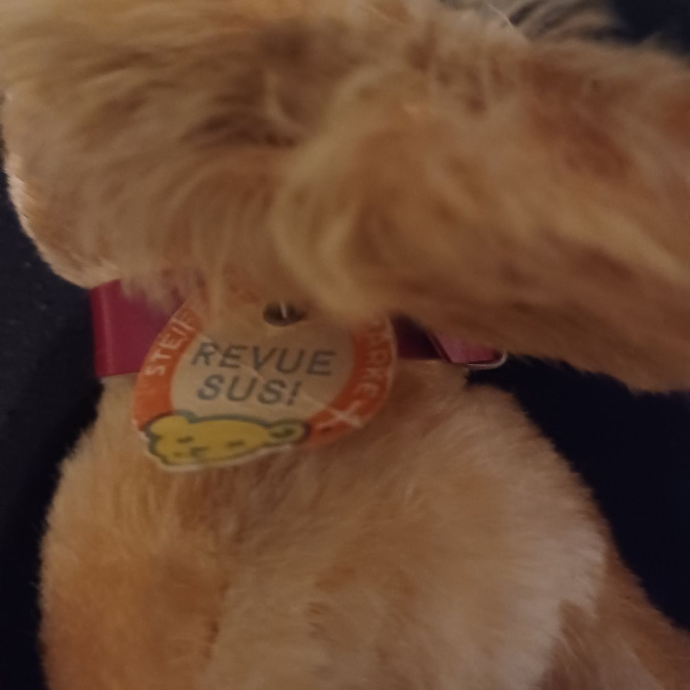 Steiff Giocattoli: Steiff Hund Revue Susi17 cm gross – Usato da Abtwil SG venduto da luupsy 5