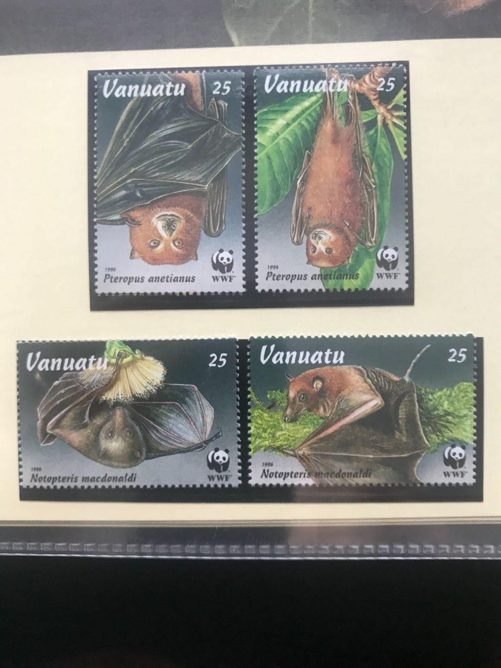 Tutti i francobolli: WWF Vanuatu 1996 Satz Flughunde postfrisch – Nuovo (secondo la descrizione) da Liestal venduto da schnueps