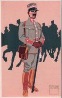 Schweizer Armee, Felduniform, Cavallerie Oberst (2207)