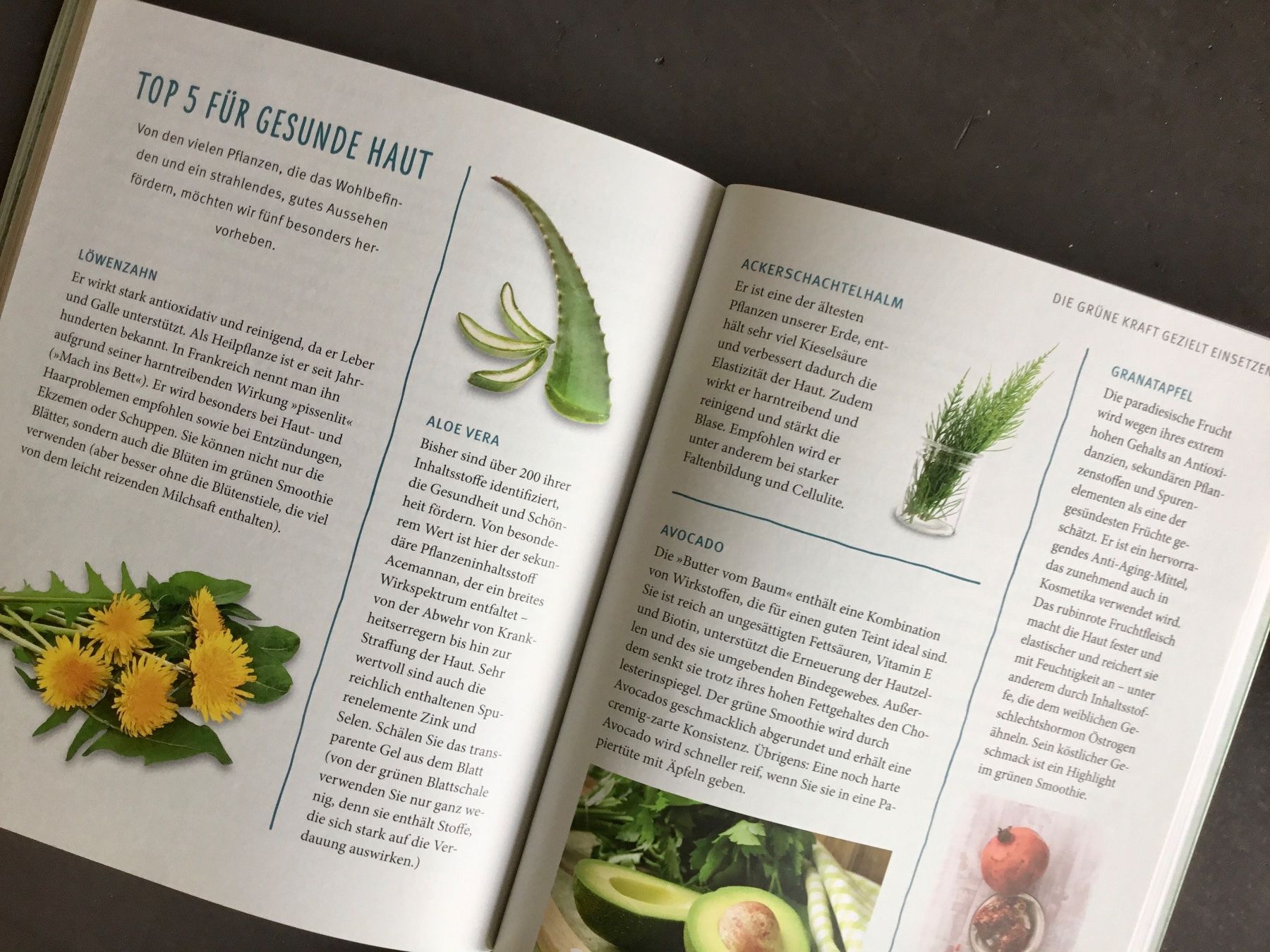 Libri: Grüne Smoothies – Usato da Eggersriet venduto da Wiese61 4
