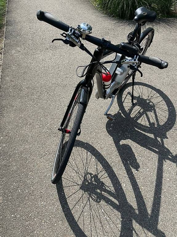 Biciclette: Elektro Velo Flyer – Usato da Herrliberg venduto da svagi 2