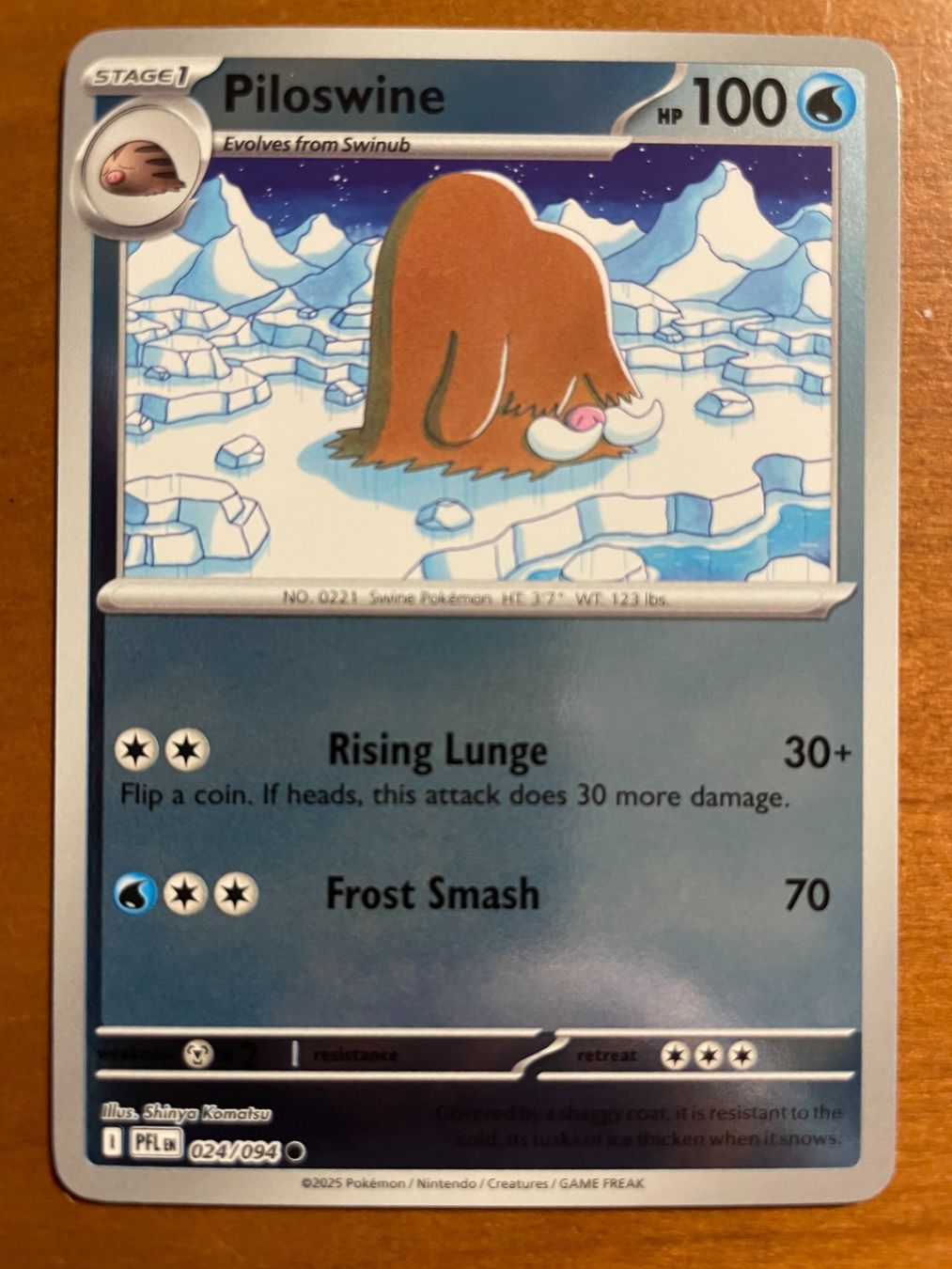 Pokémon Carte collezionabili: Pokemon Piloswine Reverse (Versand gratis) – Nuovo (secondo la descrizione) da Chur venduto da Angerson