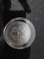 USA Silver Eagle 1 oz 999 Feinunze 2007 guter Zustand