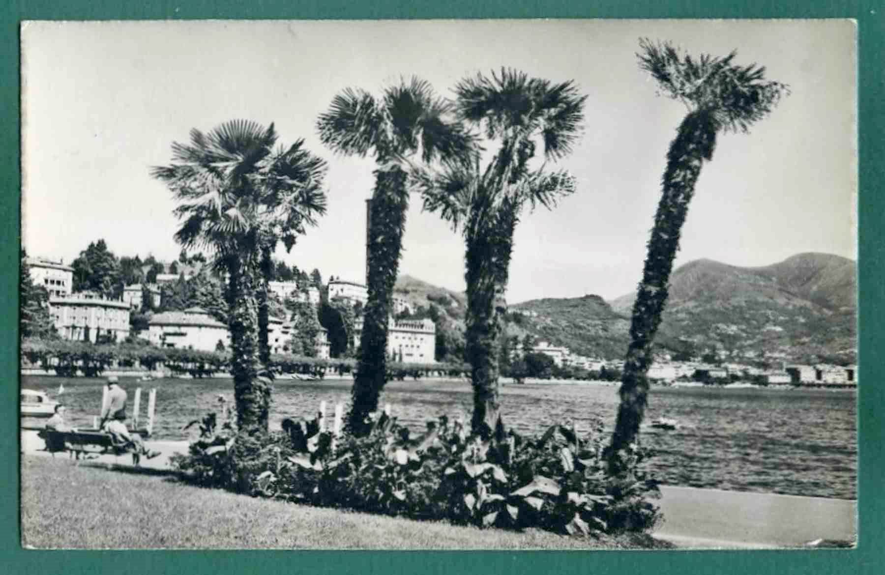 Cartoline postali: Lugano-Paradiso, ca. 1960, gelaufen – Usato da Sargans venduto da Hausi1951