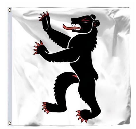 Fahnen: Schweizer Flagge des Kantons Appenzell – Neu und originalverpackt aus Gurmels von Swisspod
