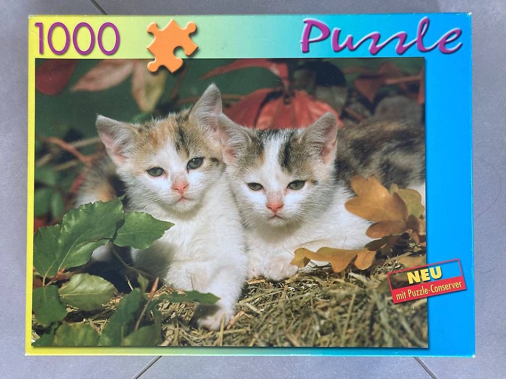 Puzzle: Puzzle 2 Kätzchen 1000 – Usato da Oberglatt ZH venduto da Fischli085
