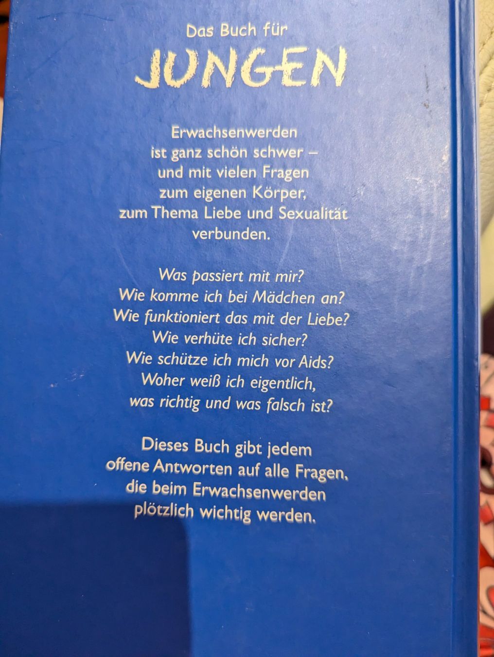 Bücher: Das Buch für Jungen – Neu (gemäss Beschreibung) aus Dierikon von Jolie 2