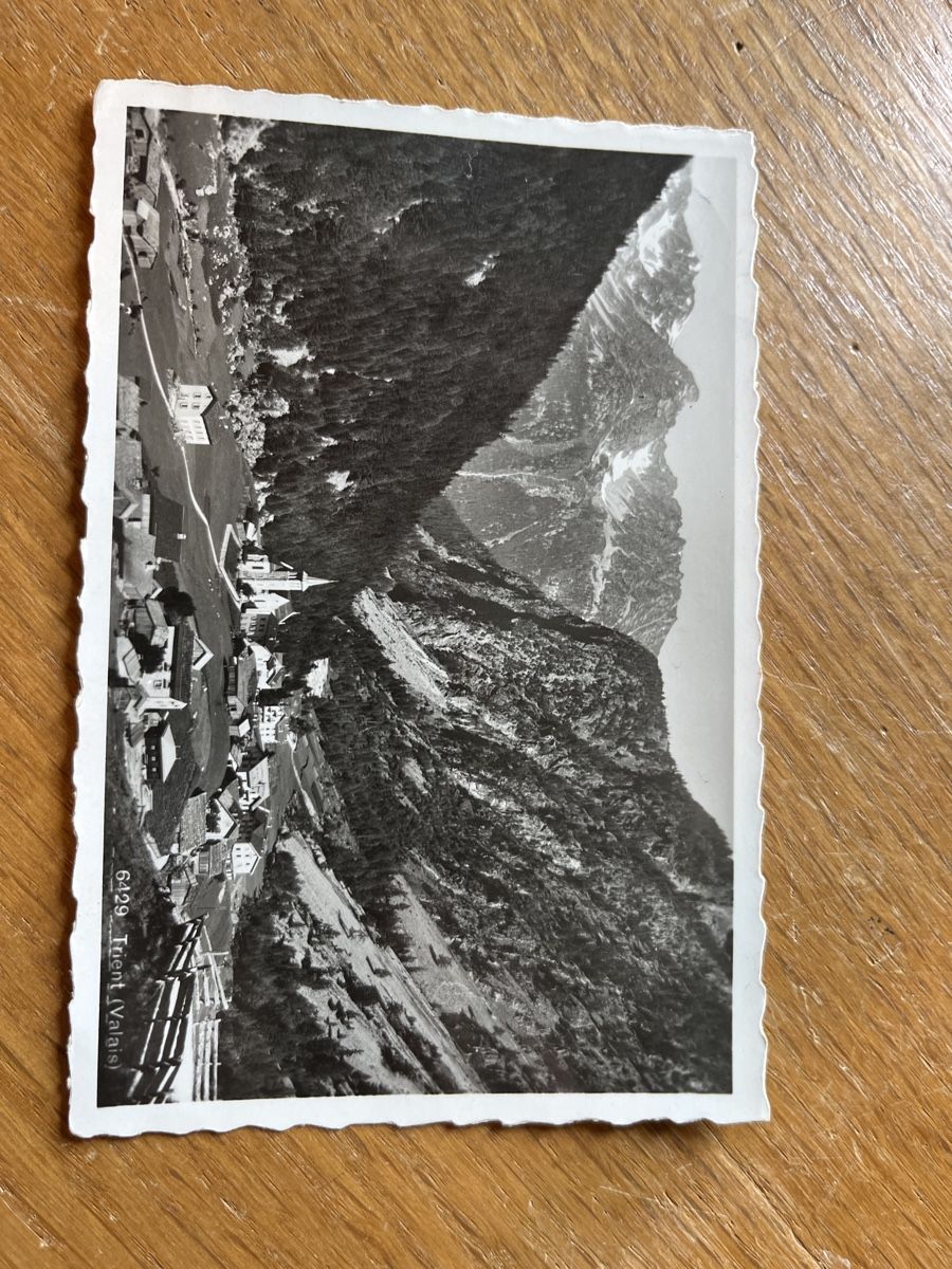 Cartoline postali: Trient Wallis – Usato da Sarnen venduto da Muenzen.-M