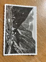 Trient Wallis