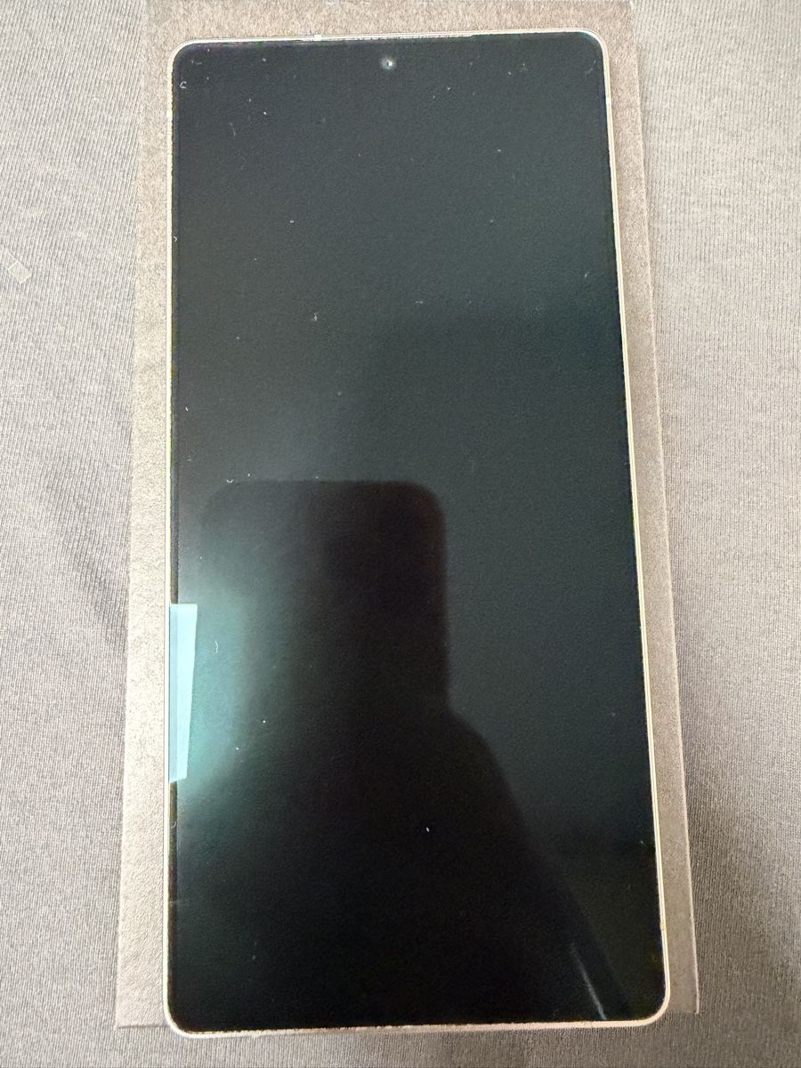 Samsung Telefoni cellulari / Smartphones: S25 ultra – Usato da Mels venduto da erka1989