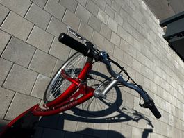 Trotinett mit Motor 250 W.