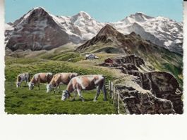 Männlichen 1956, coloriert